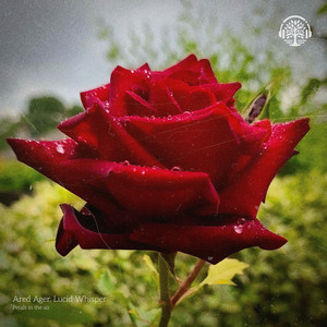 Petals in the air by Ared Ager, Lucid Whisper