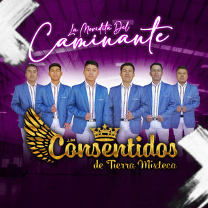 Los Consentidos de Tierra Mixteca - El pasito duranguense