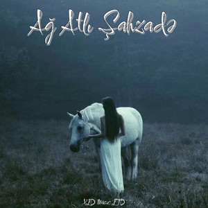 Song Cover