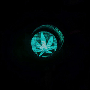 nesting by Cayseey, proxzi, White T