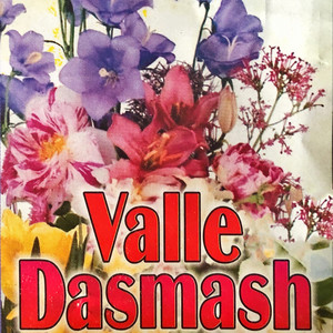 Valle dasmash - Valle 3