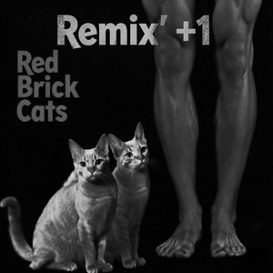 No Escape - Krautrock Mix by Red Brick Cats