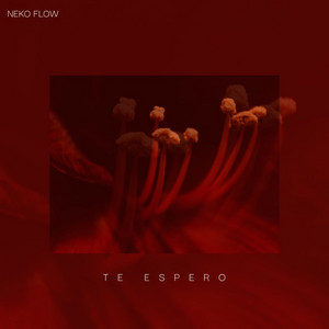 Te Espero by Neko Flow