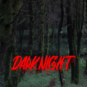 Dark Night by Nury Nawang