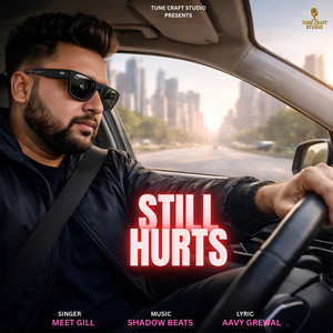 Still Hurts by Meet Gill