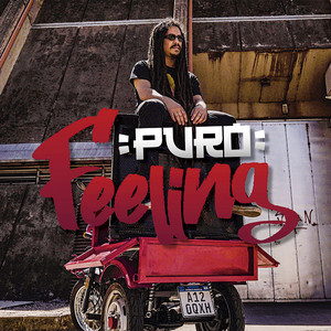 Portada de Puro Feeling