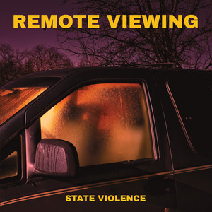 album cover: State Violence