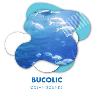 Bucolic Ocean Sounds For Tranquility album