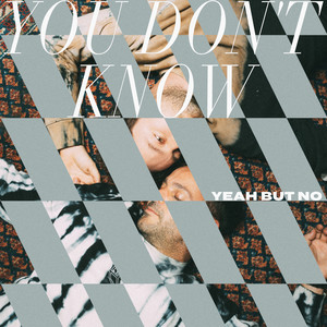 You Don't Know by Yeah But No, The Shadow Self, Fabian Kuss
