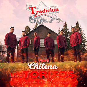Popurri Chilena Los Toritos