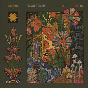 album cover: Taiga Trans