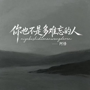 你也不是多难忘的人 - 伴奏 by 阿悟