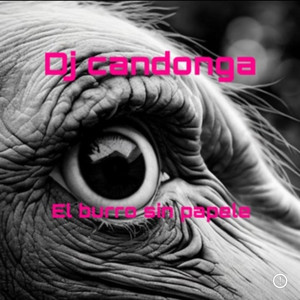 El burro sin papele by dj candonga