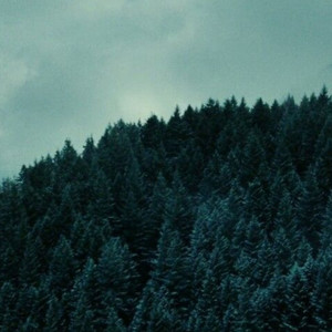 Twilight - Bitcrushed by Mystery Shop, the backrooms liminal ambience