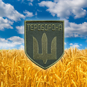 Марш територіальної оборони
