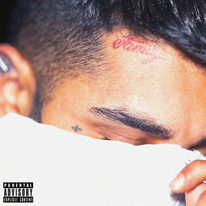 Sajad Shahi - Hitman