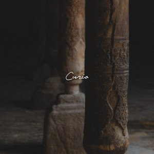Curio by Ferragno