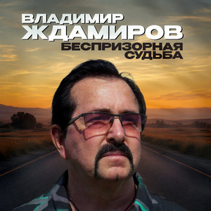 Беспризорная судьба by Vladimir Zhdamirov