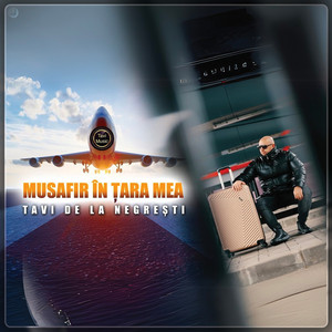 Tavi De La Negresti - Musafir În Țara Mea