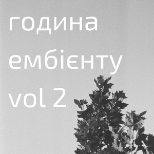 Година ембієнту, Vol. 2