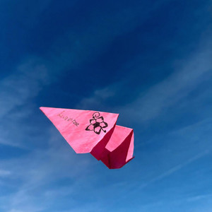 La vie en rose by CZ Loco
