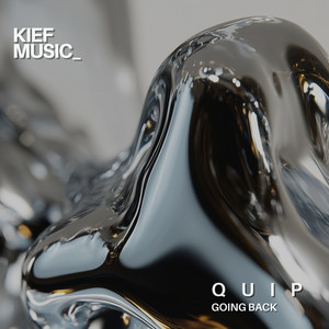 Going back - Radio Edit by quip