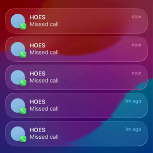 I GOT HOES by 500raxx