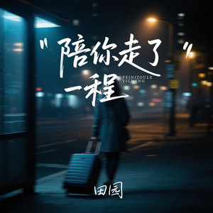 Yuan Tian - 陪你走了一程