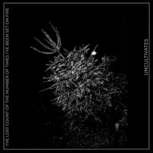 RENTAL SNAKE by UNCULTIVATES