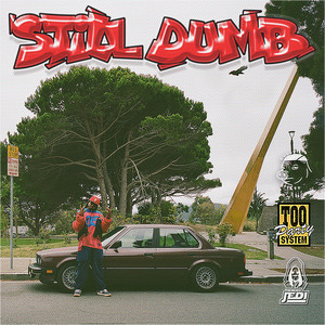 Still Dumb by TOO PARTY SYSTEM, Themobsjedi