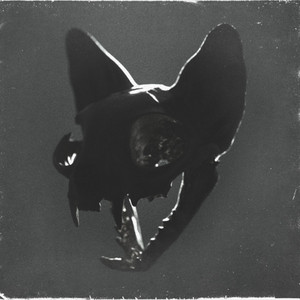 These Nights album art