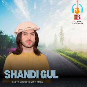 Shandi Gul - Pareen Mi Target Kara Yi Bachai