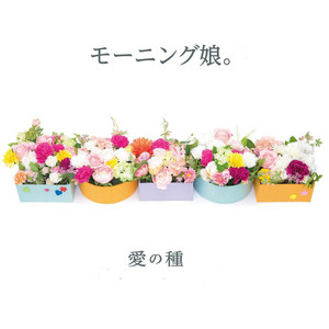 モーニング娘。 シングルCD 愛の種 愛の種 ‑「シングル」by モーニング娘。 | Spotify