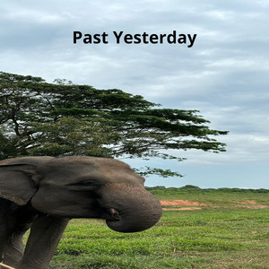 Past Yesterday by Ginan Indi