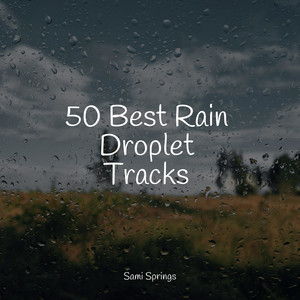50 Best Rain Droplet Tracks album