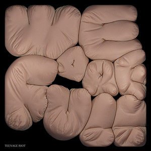 Die!!! by Teenage Riot