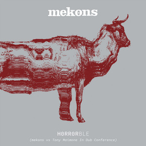 Mudcrawlers - Version by Mekons, Benji Webbe