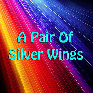 A Pair of Silver Wings cover