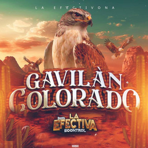 Banda La Efectiva - Gavilán Colorado