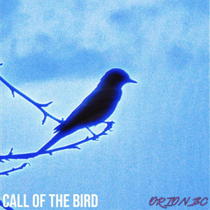 CALL OF THE BIRD