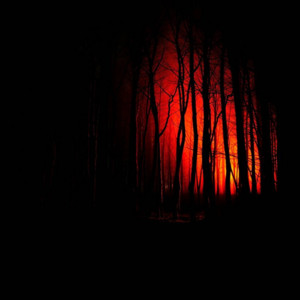 Against the Silence