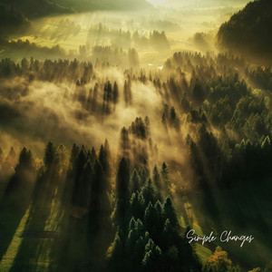 Simple Changes by Nola Finch