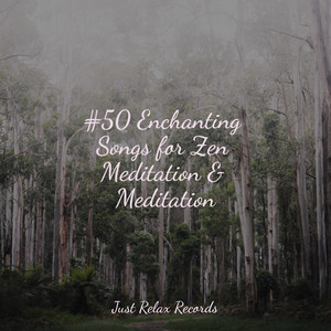 #50 Enchanting Songs for Zen Meditation & Meditation