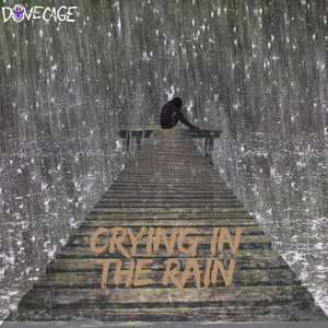 Crying in the Rain by Dovecage