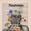 Unknown Title cover