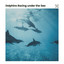 Dolphins Racing Under the Sea cover