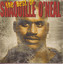 The Best Of Shaquille O'Neal cover