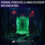 R3SPAWN & Stereohats & Linnea Schossow - Intoxicated
