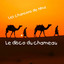 Le disco du chameau cover