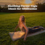 Soothing Forest Yoga Music for Meditation cover